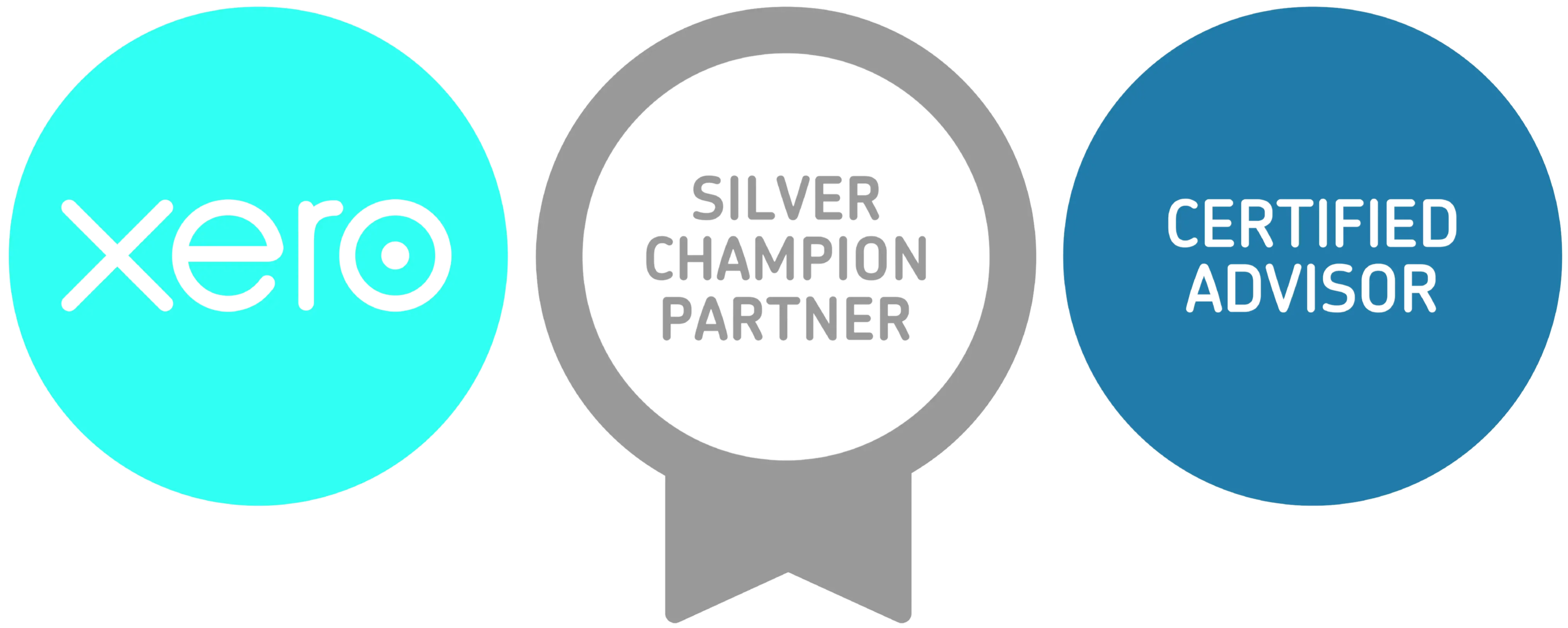 Xero - cloud accounting software partner